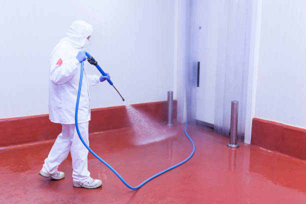 Best Boat and Dock Cleaning  in West Milton, PA